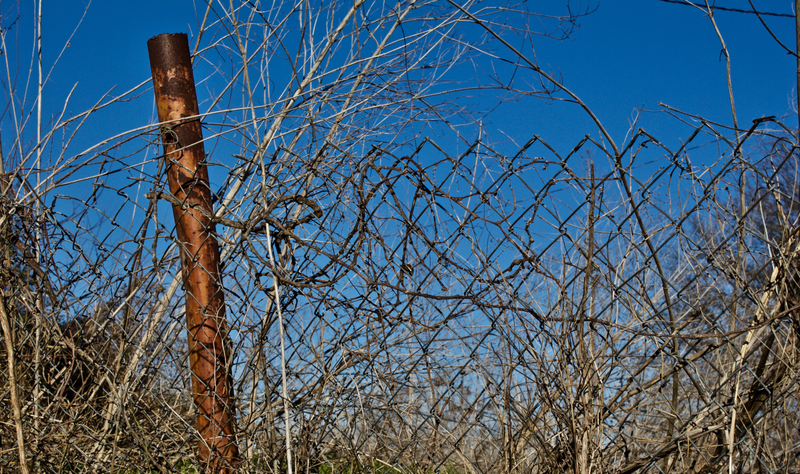 Even the barbed wire lining the property at Longhorn is covered in rust.